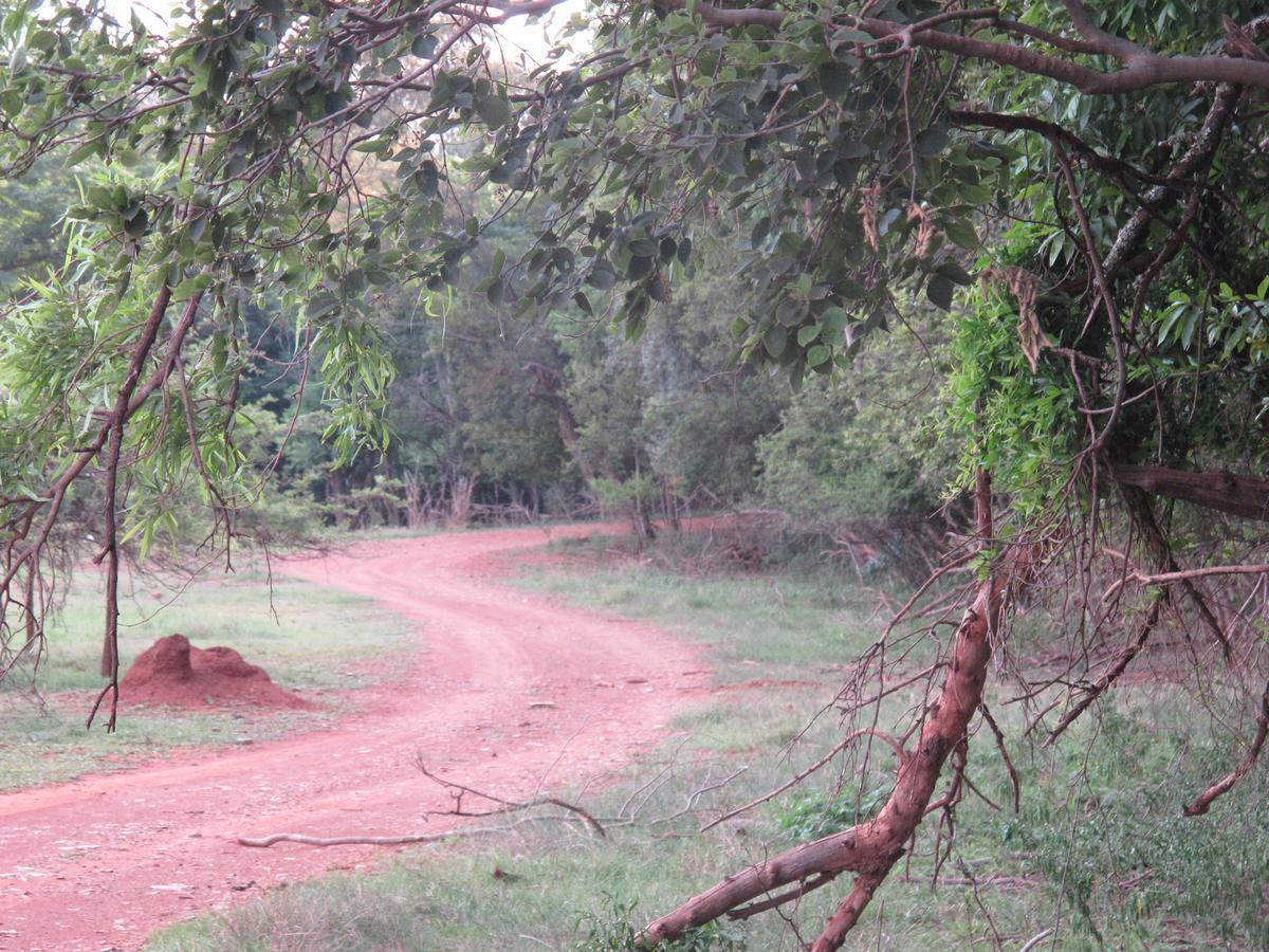 Harties Is Africa Safari Lodge Kosmos Εξωτερικό φωτογραφία