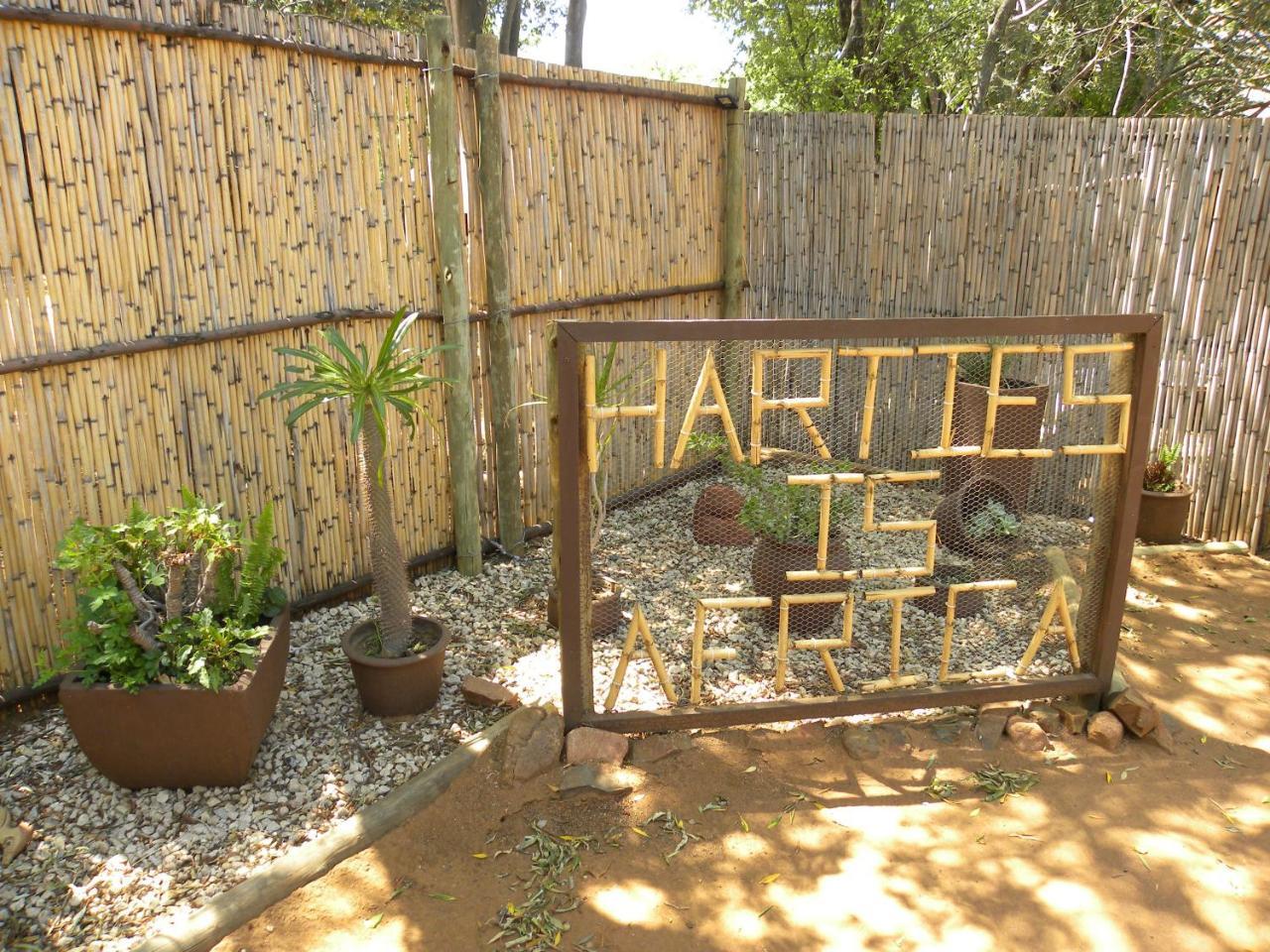 Harties Is Africa Safari Lodge Kosmos Εξωτερικό φωτογραφία