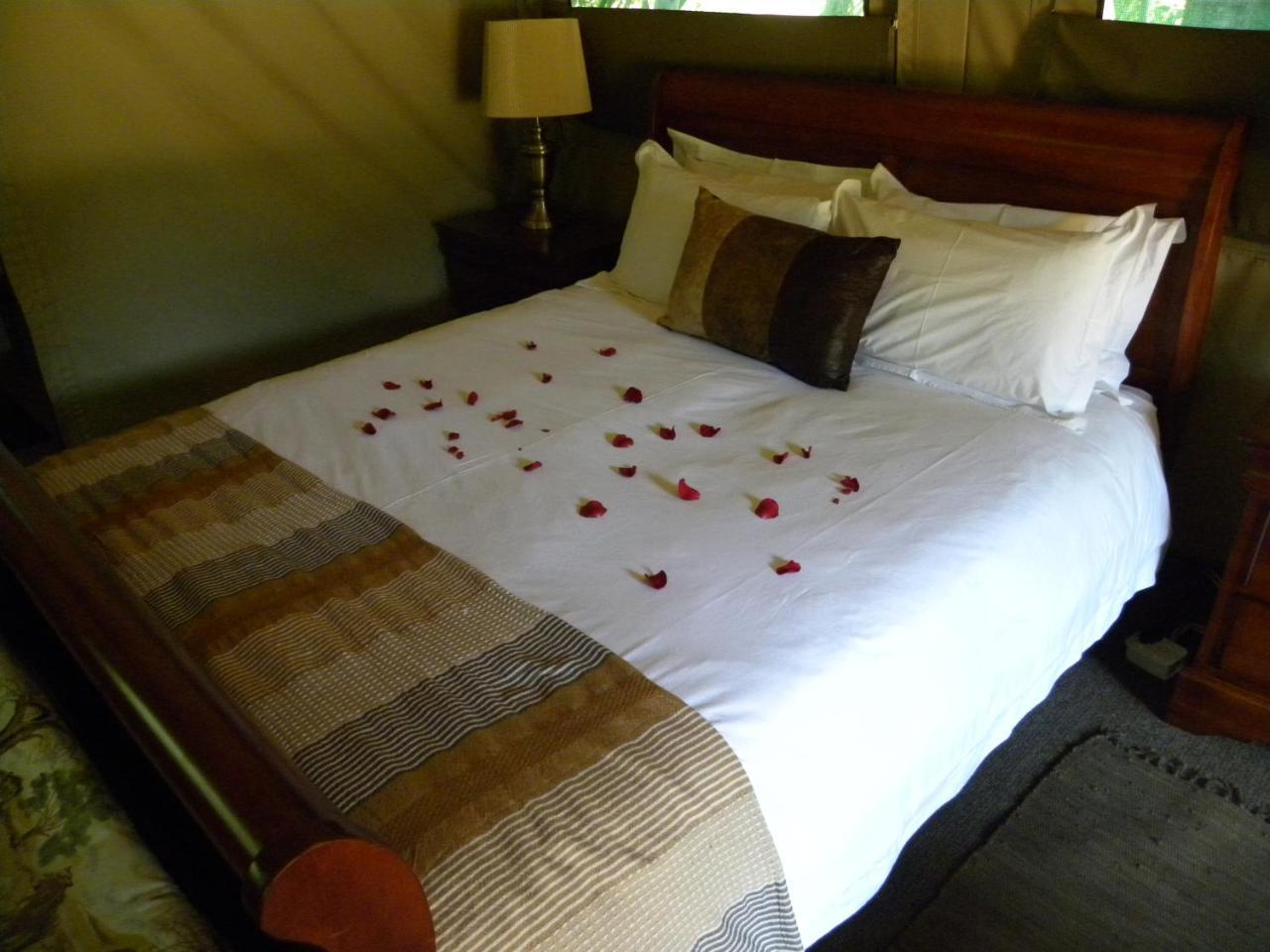 Harties Is Africa Safari Lodge Kosmos Εξωτερικό φωτογραφία