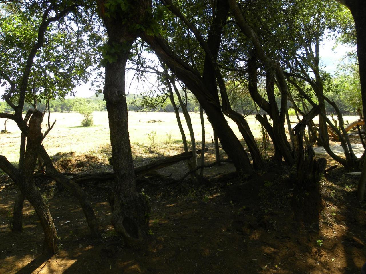 Harties Is Africa Safari Lodge Kosmos Εξωτερικό φωτογραφία