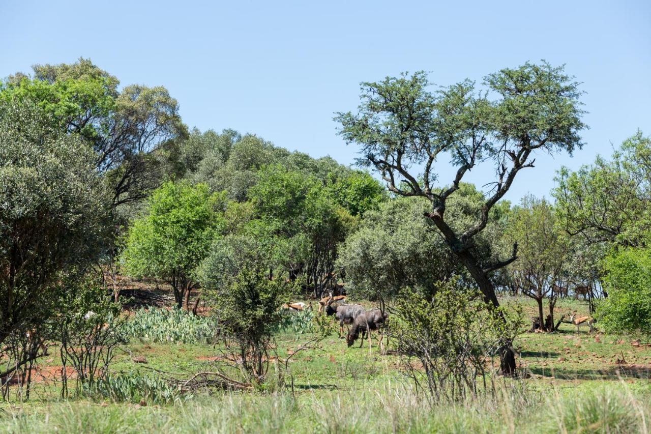 Harties Is Africa Safari Lodge Kosmos Εξωτερικό φωτογραφία