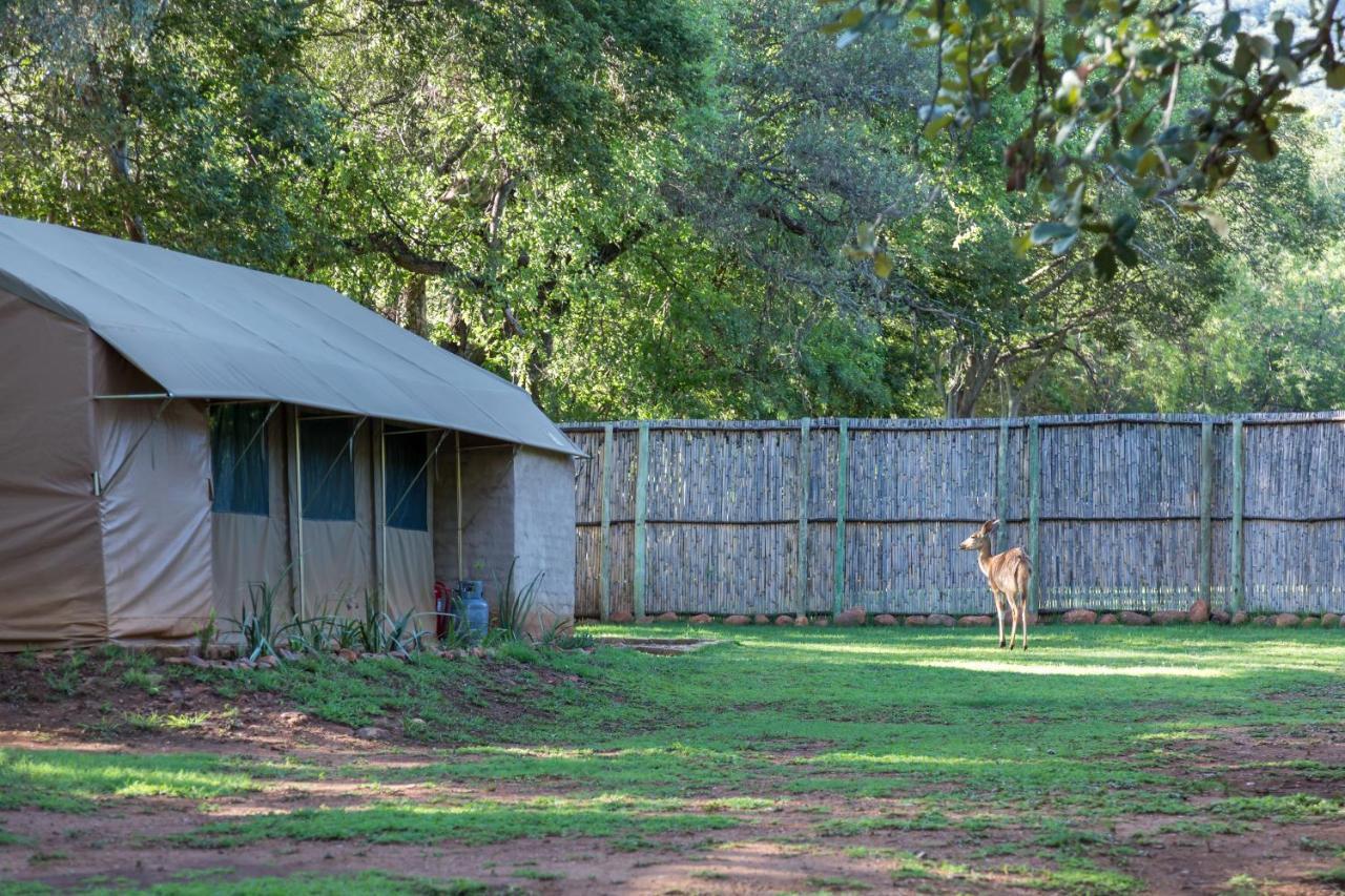 Harties Is Africa Safari Lodge Kosmos Εξωτερικό φωτογραφία