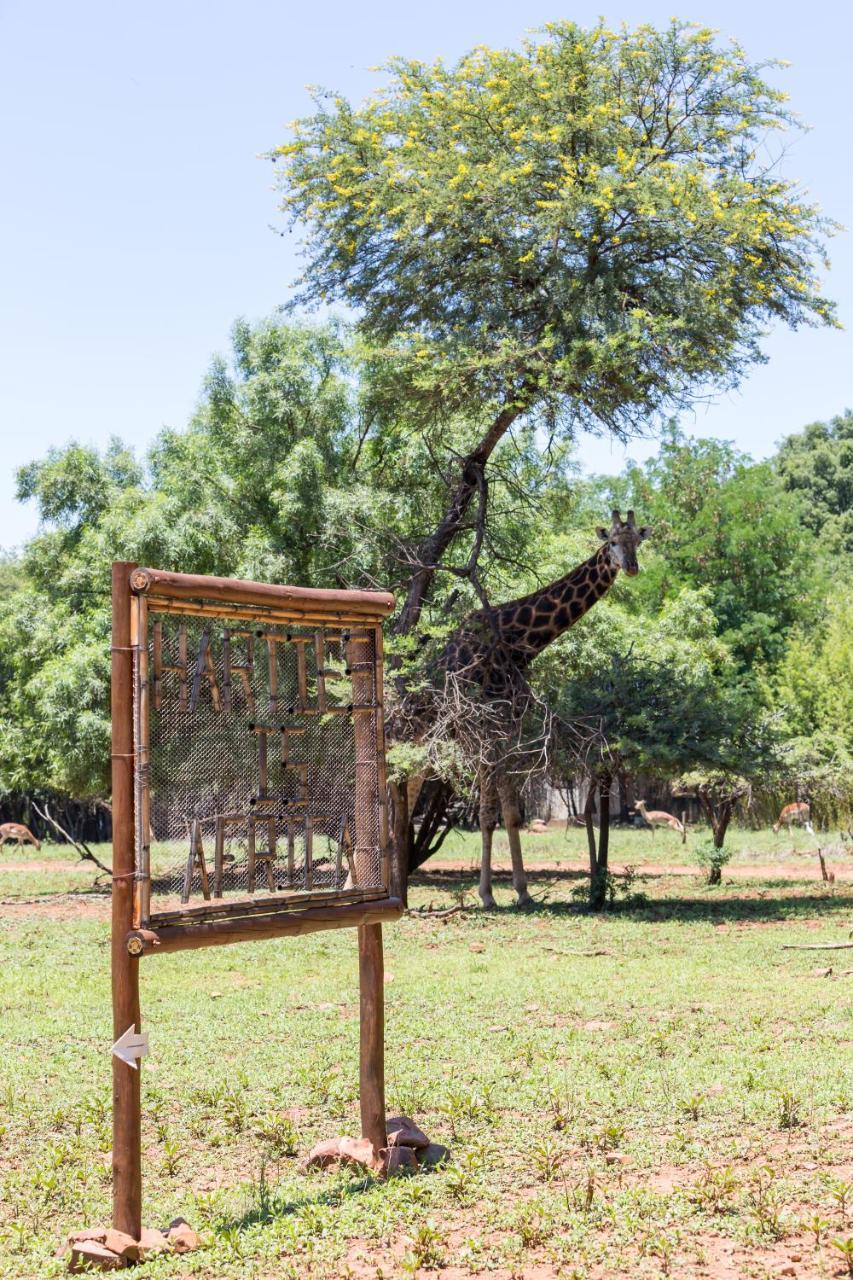 Harties Is Africa Safari Lodge Kosmos Εξωτερικό φωτογραφία